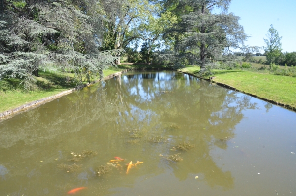  Que faire ce week –end ?  Et bien, rendez-vous aux jardins !