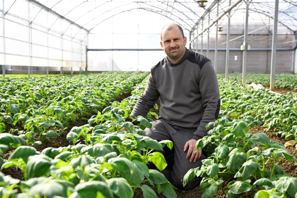 Le nombre d’hectares cultivés en bio diminue en Bourgogne-Franche-Comté mais les acteurs se mobilisent pour inverser la tendance