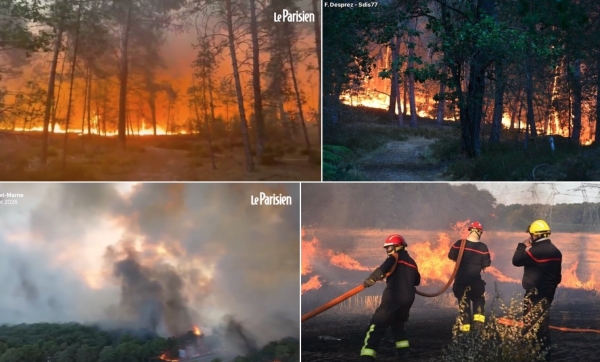 2 Canadair mobilisés en Seine-et-Marne pour lutter contre l'incendie en forêt de Fontainebleau