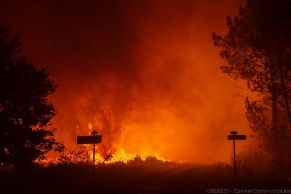 Incendies en Gironde et dans les Landes :  la Fondation du patrimoine lance  une collecte d'urgence