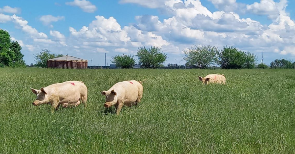 Soutien exceptionnel aux exploitations agricoles touchées par des catastrophes naturelles : la Région mobilise plus de 27 millions d'euros de fonds européens
