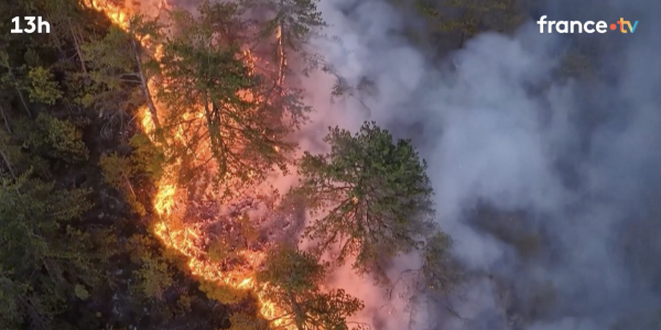 Bosnie, Turquie, Chypre, Portugal... Le sud de l'Europe sévèrement touché par les flammes