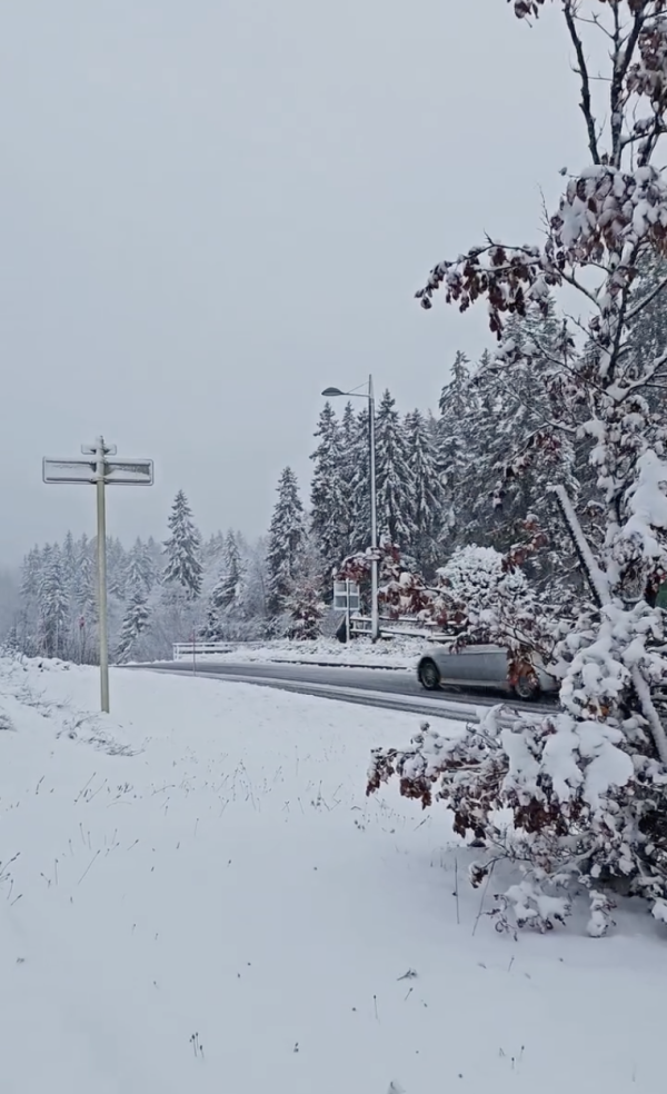 Dans le Jura ce jeudi matin, la neige est bien tombée 