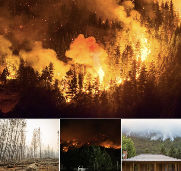 En Patagonie, les pires feux de forêts depuis des décennies 