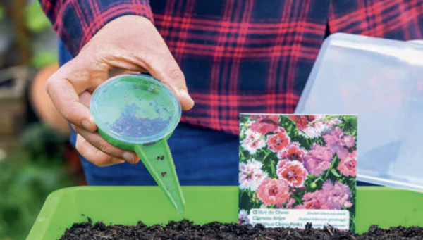 Au jardin, le moment des semis approche : voici dix gestes à faire en février