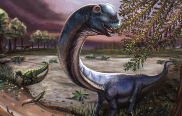 Un nouveau dinosaure géant, le nagatitan, identifié en Thaïlande