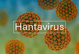 Hantavirus : la demande de masques FFP2 multipliée par cinq en une semaine