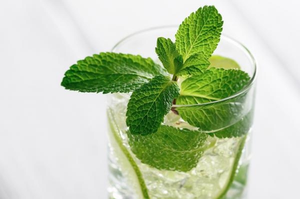 Un sirop de menthe 100% fraîcheur - Info-beaune.com vous donne la recette 